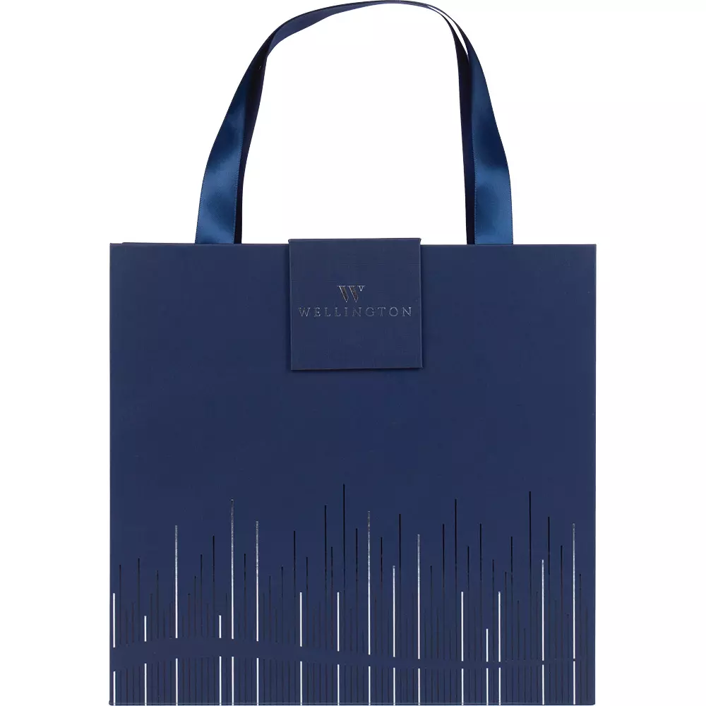WELLINGTON SET OXFORD  HO+ NOTES PLAVI