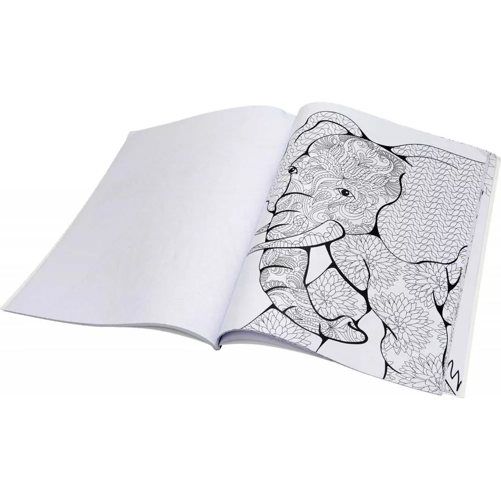 POBARVANKA CREATIVE ADULT ANIMAL 40L