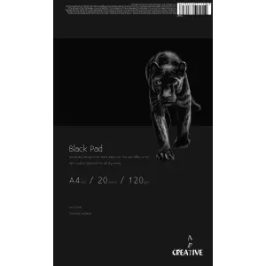 CREATIVEART BLOK SKICEN CRNI A4 20L 120G