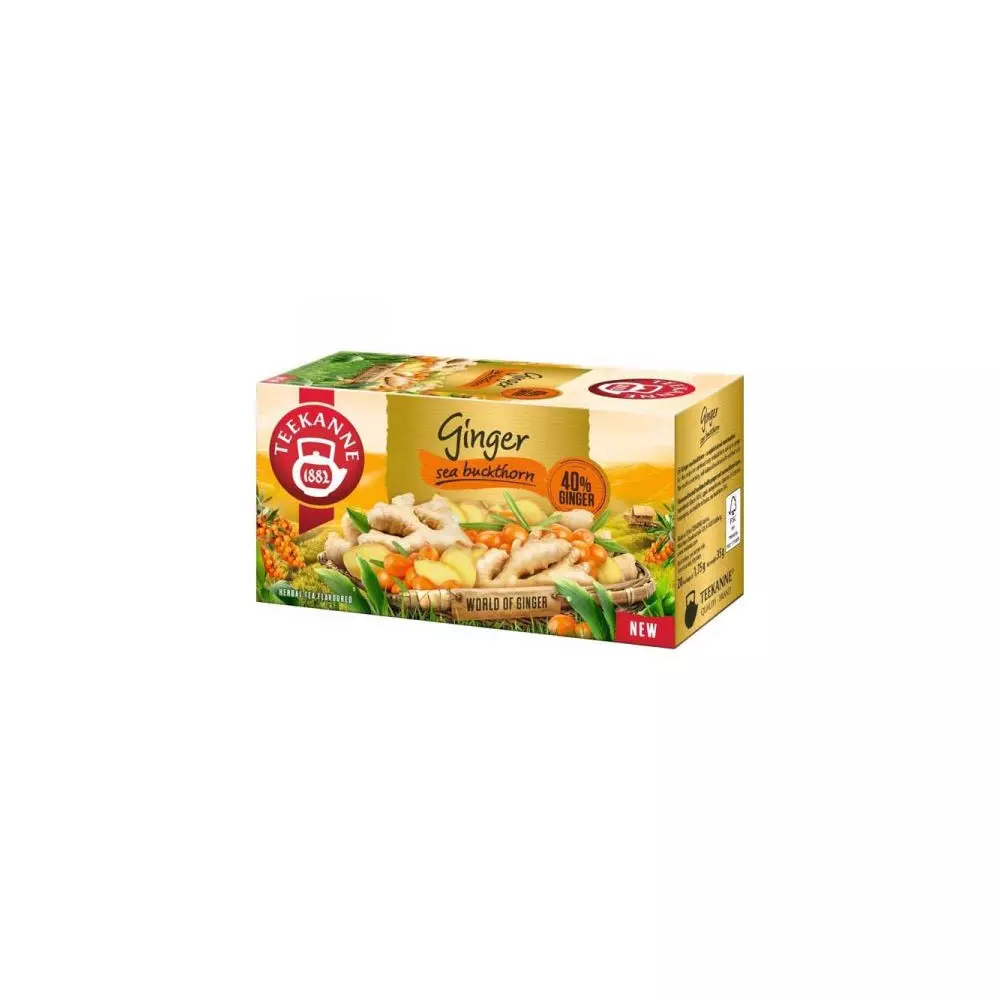 ČAJ TEEKANNE ĐUMBIR