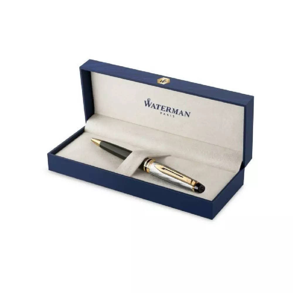 WATERMAN hemijska EXPERT blk GT